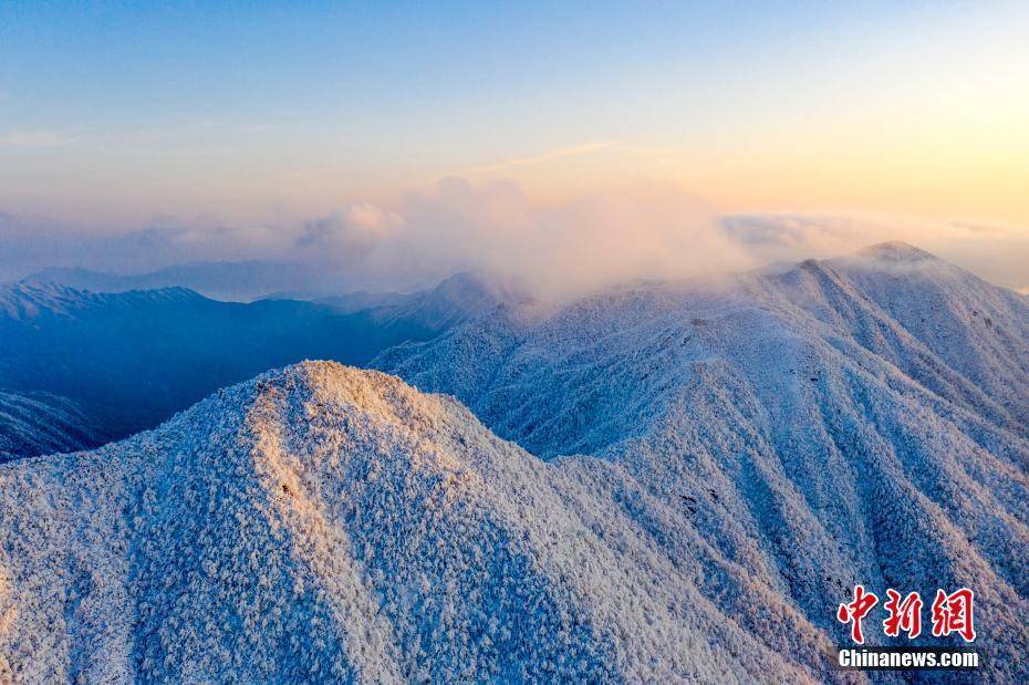 云海|江西武宁太平山现壮丽云海雾凇景观