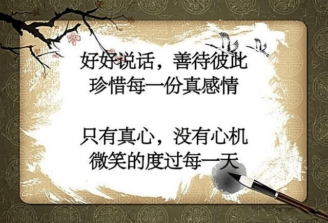 我不聪明但我不傻