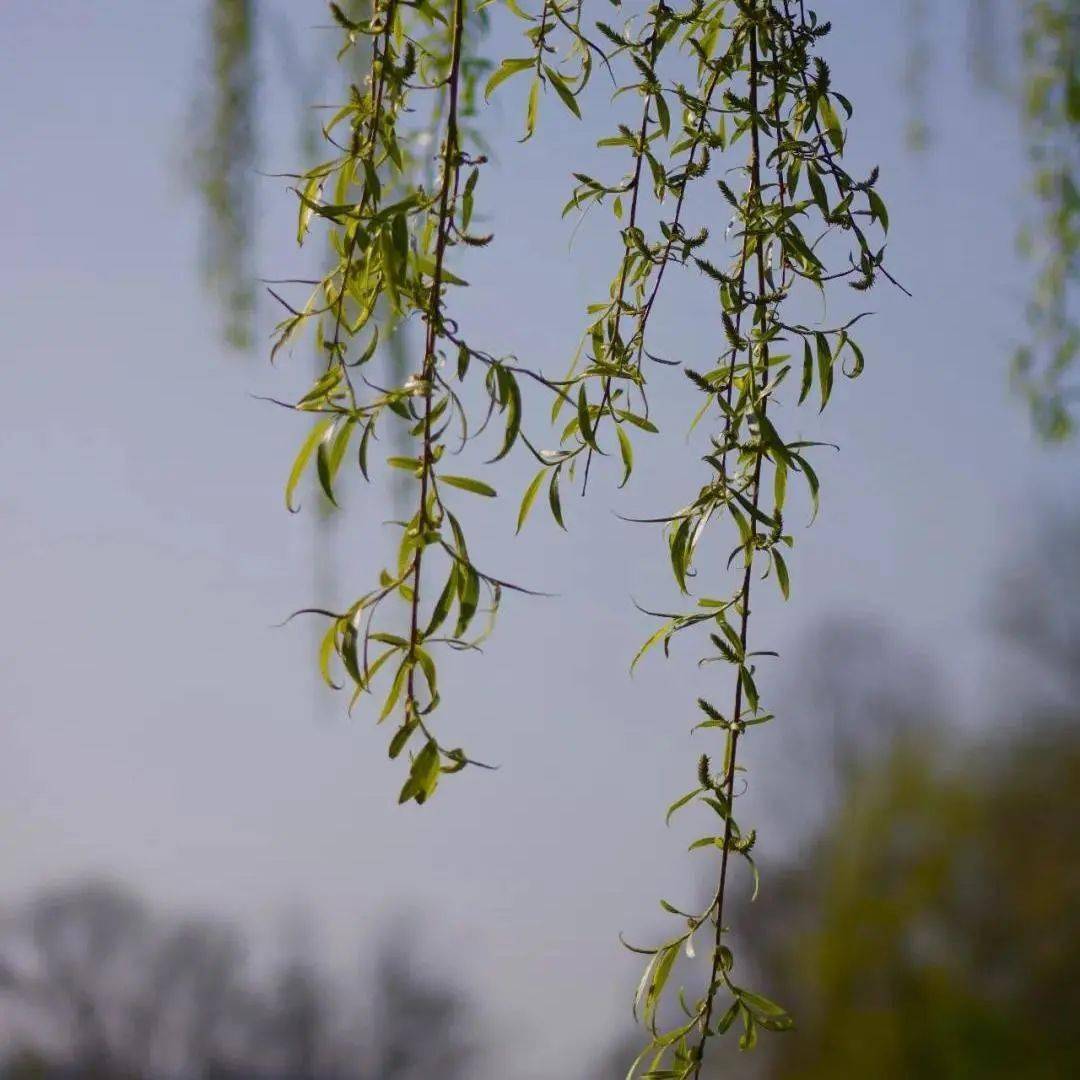 薄荷 2022年流行色的高阶穿法来了！时髦高级，谁穿都美！！