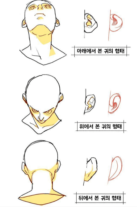 基础线稿黑白稿人物头部动作线稿