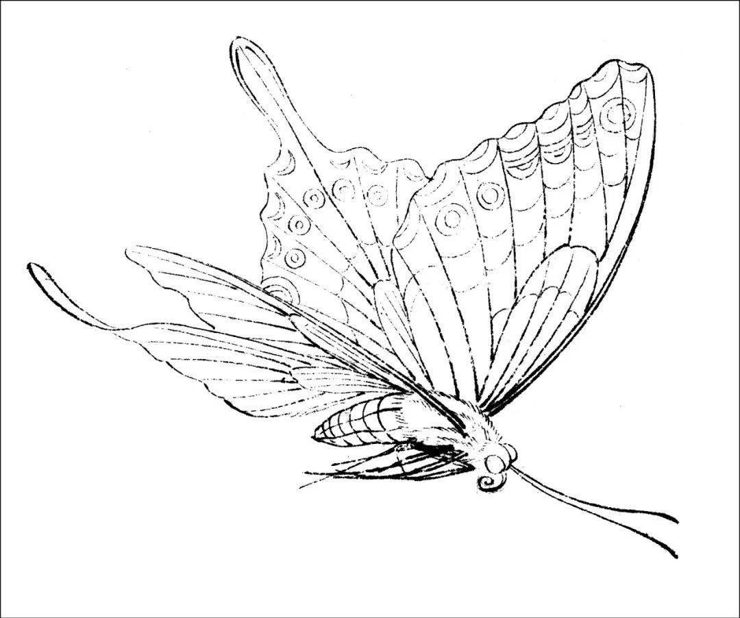 图文教程工笔画草虫美眼蛱蝶设色技法详细文字解析