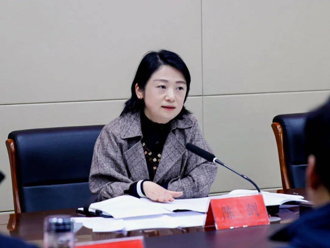 陈剑调研历史文化街区及文物保护工作