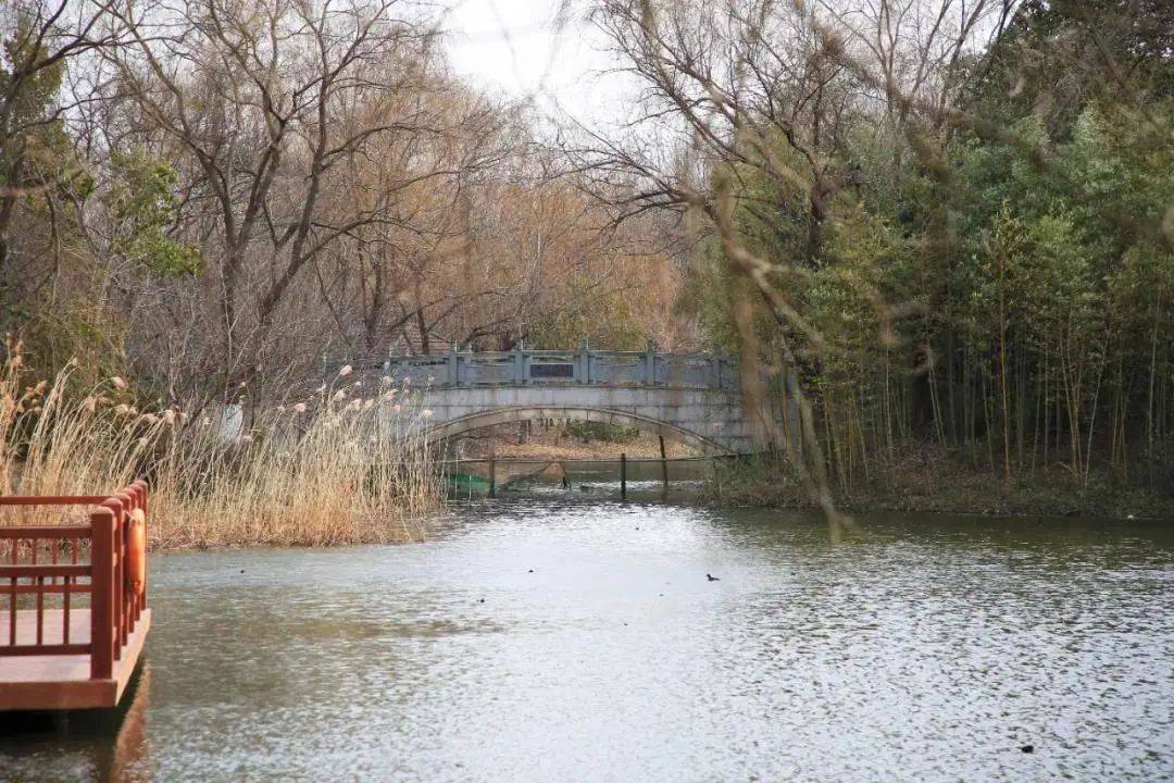 太平桥原太平桥(生肖桥)位于顾村镇(原刘行镇)老安村境内沪太路上,始