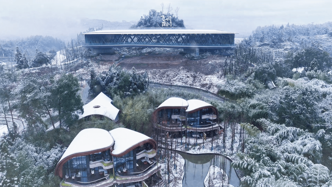 飞阅南川第41期大观原点雪