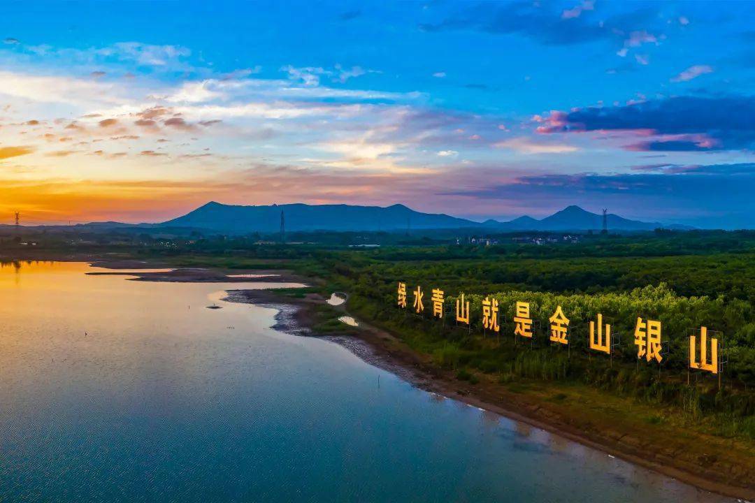 只此青绿是竹箦