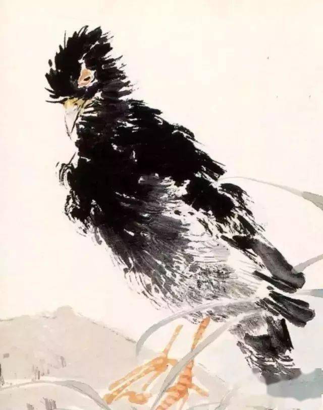 清 任伯年 花鸟册清 任薰 花鸟册齐白石 八哥齐白石 荔枝八哥徐悲鸿