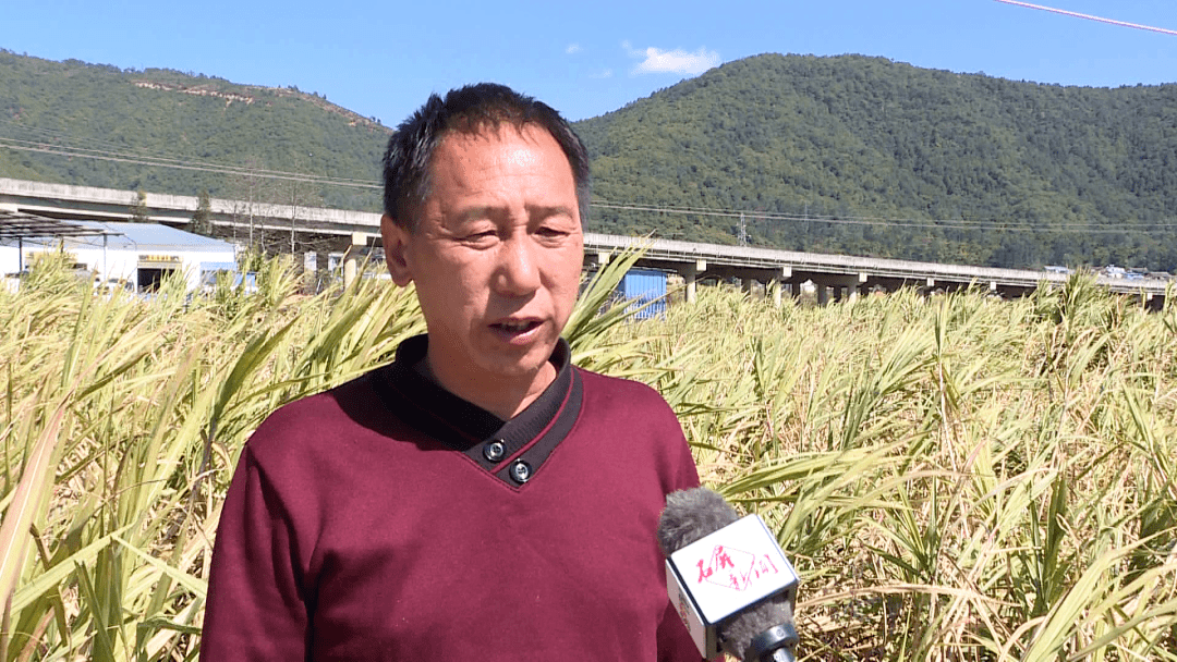 发展_石屏县_工作