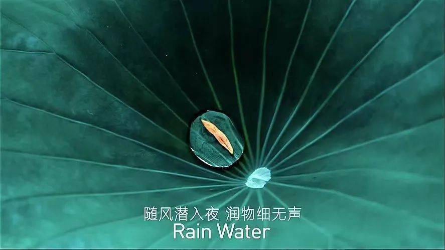 春夜喜雨古诗改编的歌曲谱子_春夜喜雨古诗图片(2)