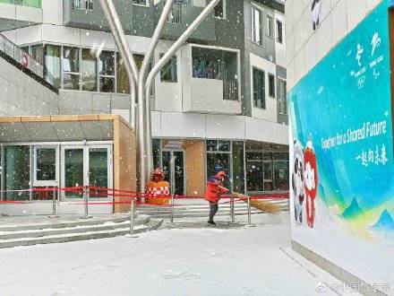 杨树|瑞雪如期而至！冬奥会张家口崇礼赛区出现降雪