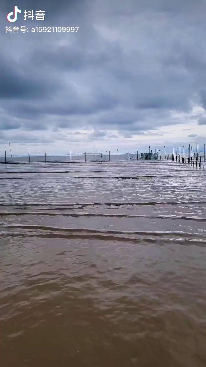 大海退潮了看看迷魂阵里面的收获吧赶海生活户外捕鱼海鲜原产地