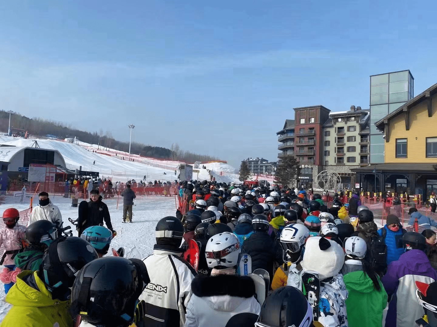 滑雪场|冬奥“火”多旺？谷爱凌代言过的雪服品牌去年“躺赚”