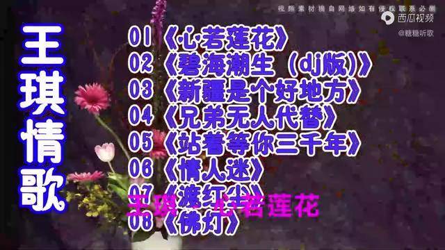 王琪情歌心若莲花碧海潮生dj版新疆是个好地方