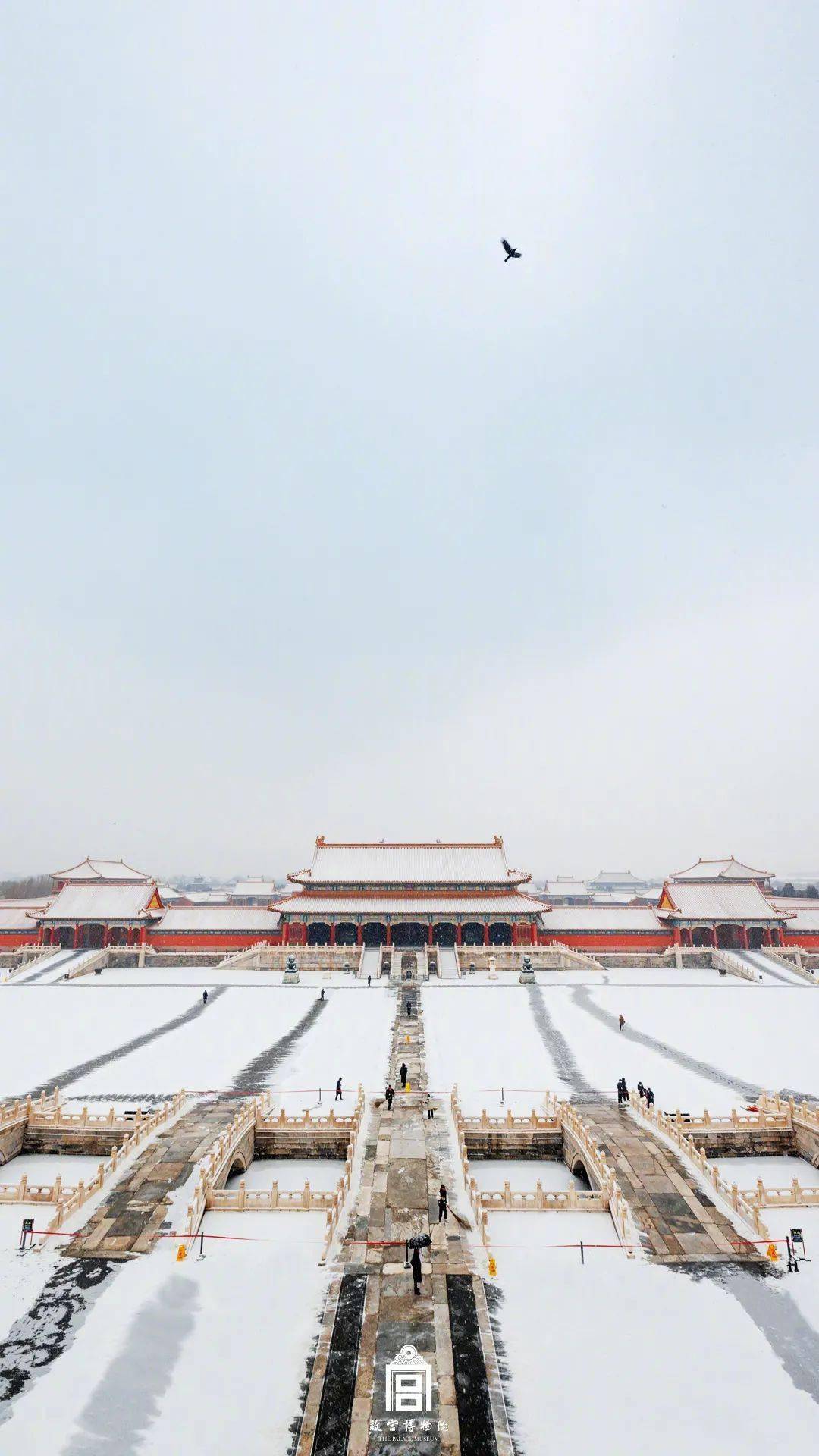 北京迎虎年初雪_故宮雪景圖來了_之城