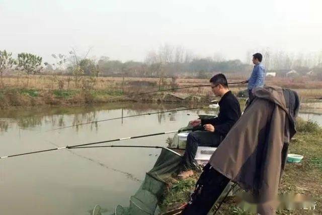 春钓选位 多数人还没察觉到 这3个钓点才最有鱼 切记莫声张 水草 区域 氧气