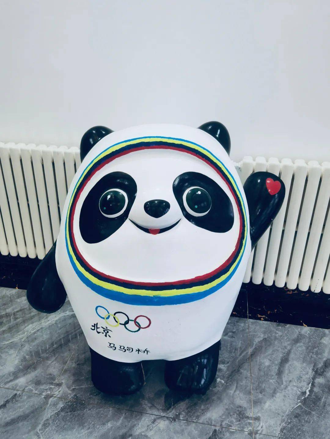 神采奕奕的墩墩儿便有了现在这只恢复健康于是,经过一下午的冲洗,上色