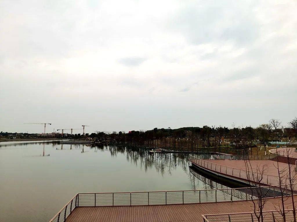 黄埔九龙湖公园图片