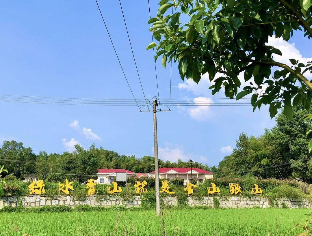 生态画卷入眼帘长沙县开慧村擦亮乡村生态文明建设底色