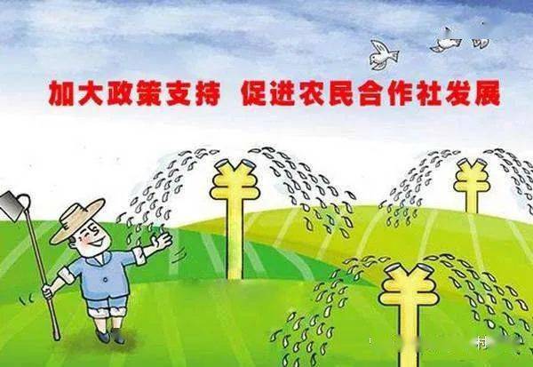 做好四个方面让休闲农业提质増效发展开云体育 开云官网(图2)