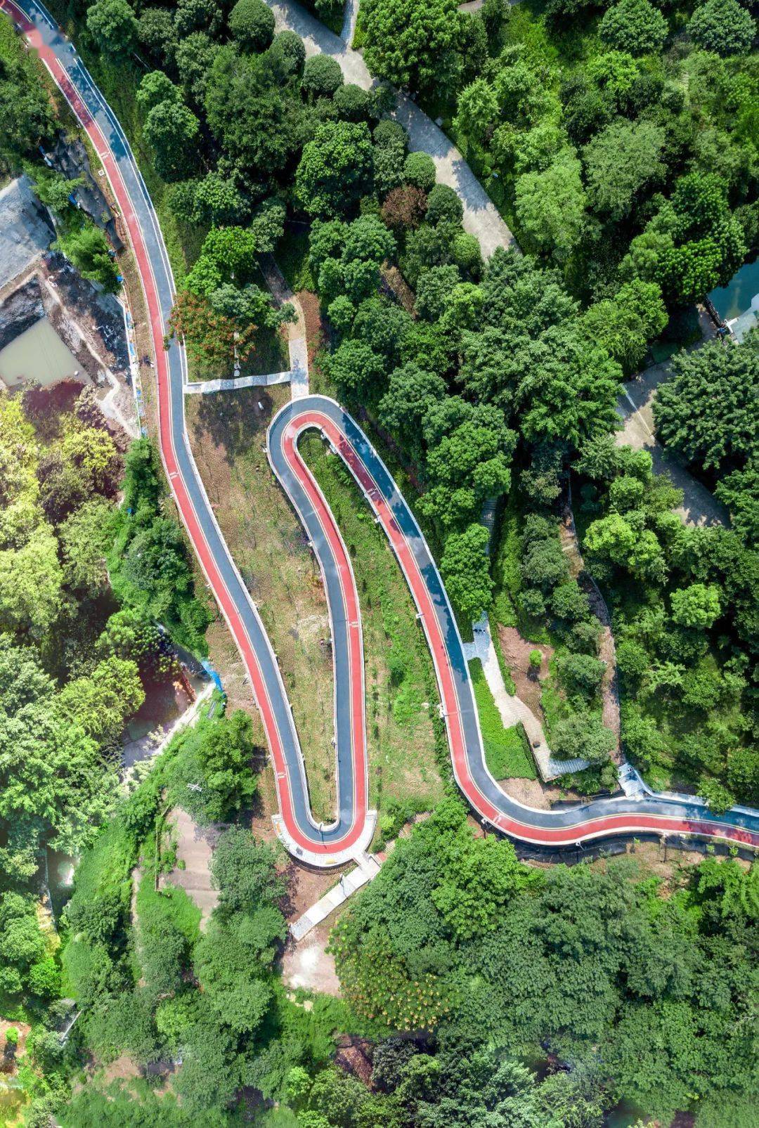 重庆山城步道歌乐山图片