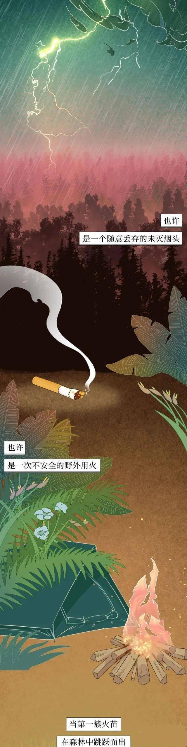 校对|森林草原防灭火丨一图搞懂森林火灾那些事