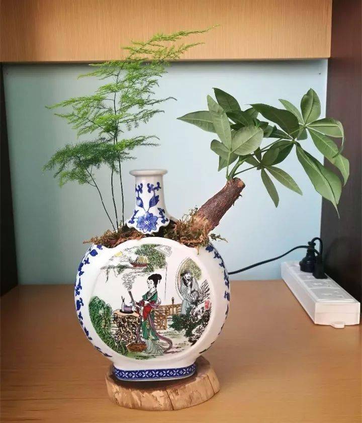 70岁大爷捡来破酒瓶种花惊艳极了