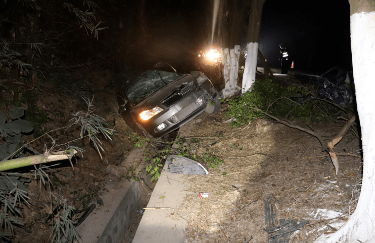 千万别酒驾桂平南木交通事故有人当场树都撞断交警曝光这些醉猫