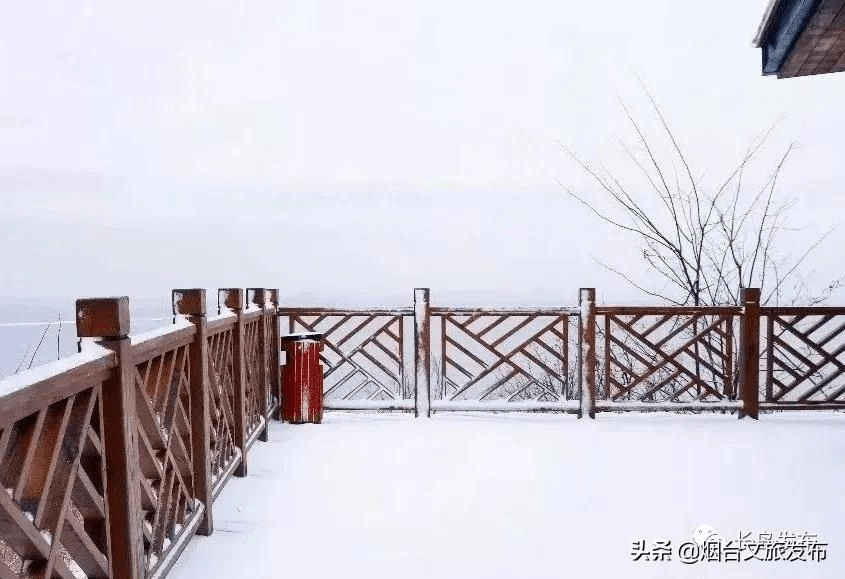 吴昆|雪落长岛 芳华刹那