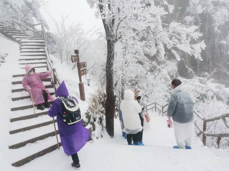 事宜|安徽黄山又又又降雪啦！惊羡游客、催热赏雪游