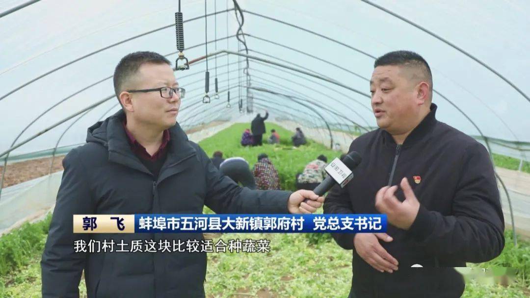 【新春走基层】当好乡村振兴"领头雁"_郭飞_五河县_产业