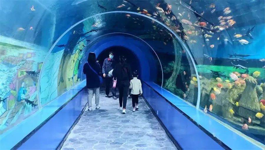 04.许昌海洋馆活动时间:2月16日-3月31日优惠措施:免费03.