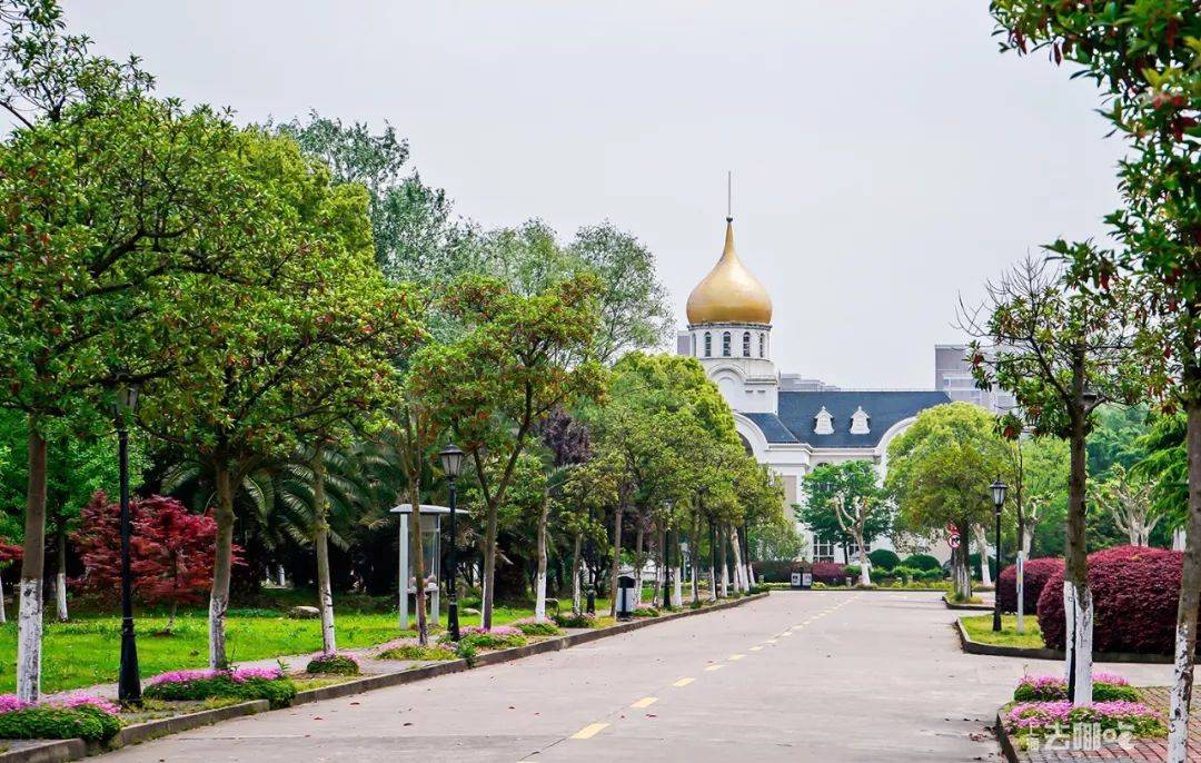 松江七校,好久不见!_大学城_文汇_上海