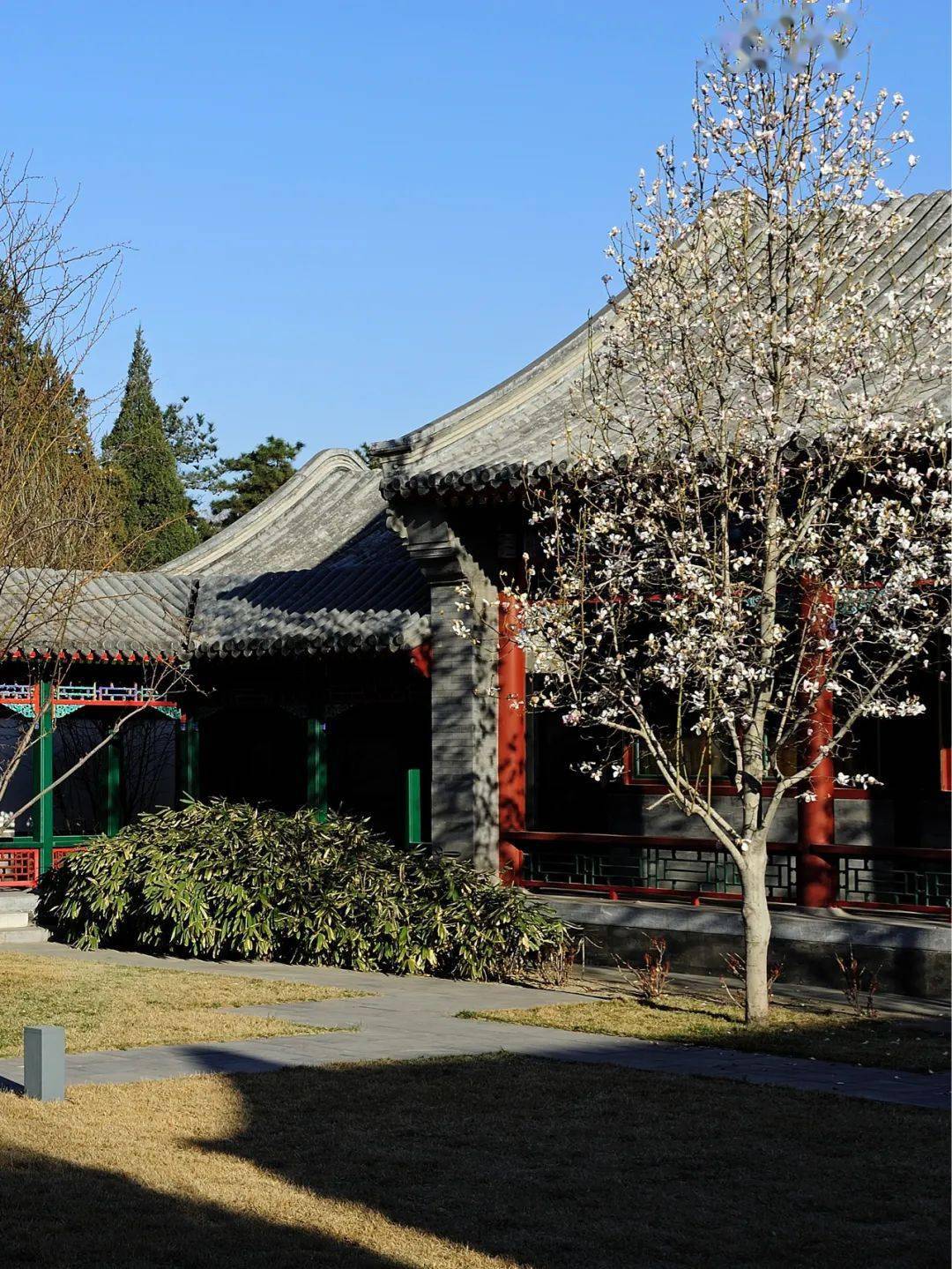 体验老北京范儿与奢华chic这些宝藏酒店不允许你还没住过