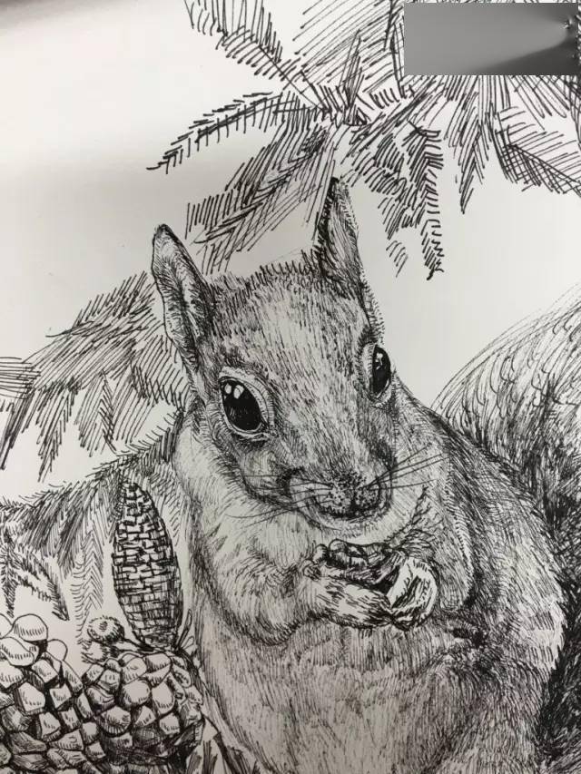 速写 | 素描 | 插画 | 漫画 | 水彩 | 彩铅 | 色粉 | 禅绕画钢笔画