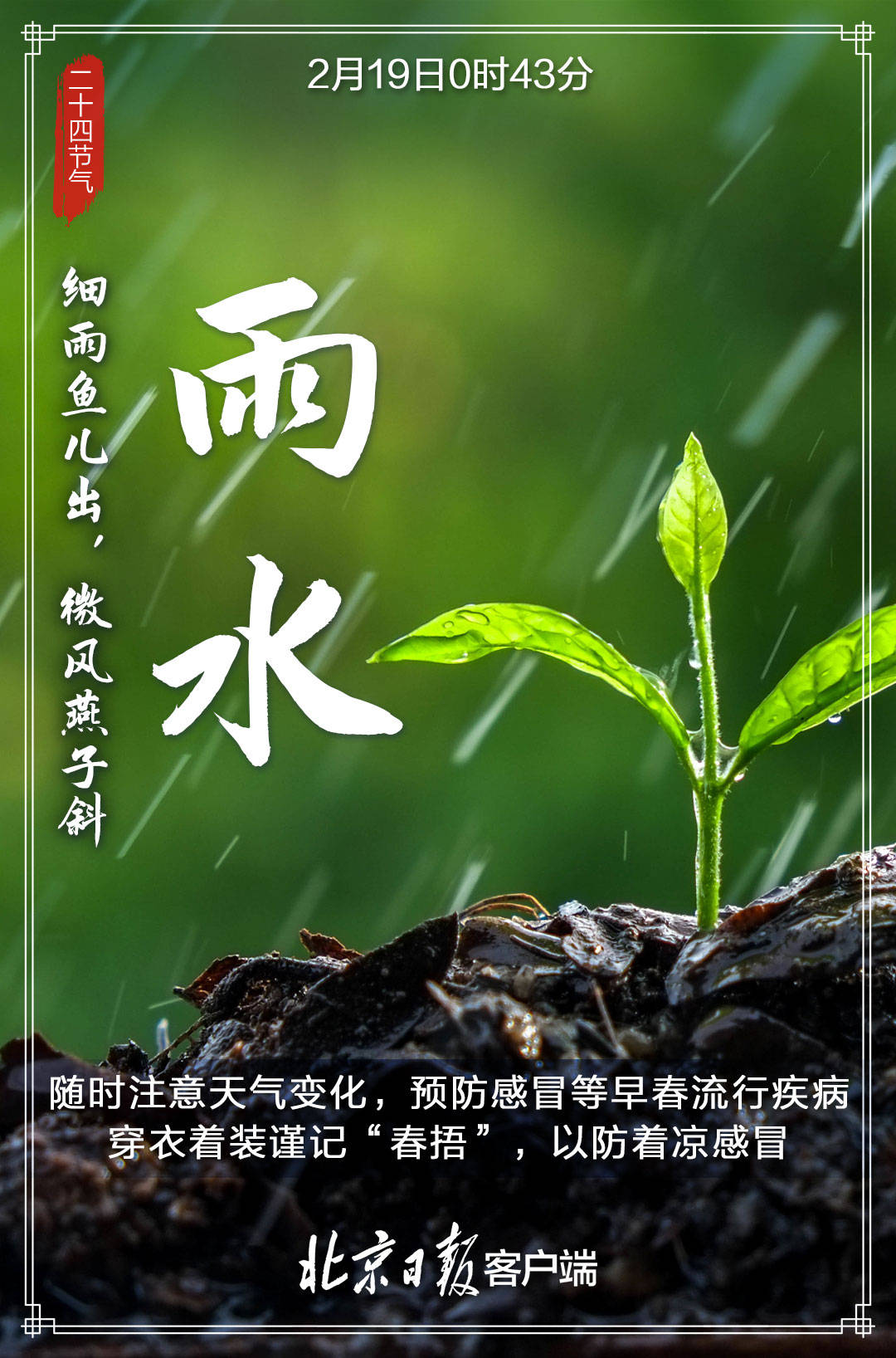 来袭|多张海报来袭！今日雨水，春天越来越近，让我们一起等待花开