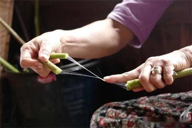 莲藕丝能织布?还卖得贼贵_纺织行业_纤维_视频