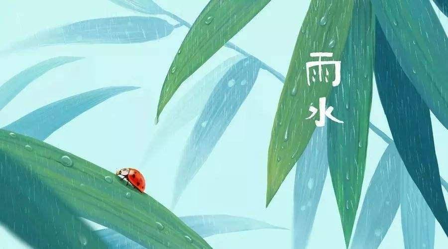 雨水过后 不管贫富 记得吃这5种 养阳 蔬菜 为开春打好基础 大蒜 香菜 韭菜