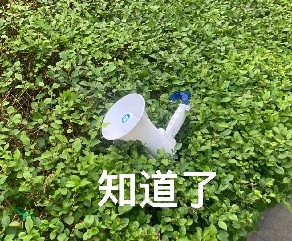 广东省|省内城市来（返）深需要核酸报告吗？会不会被隔离？答案在这