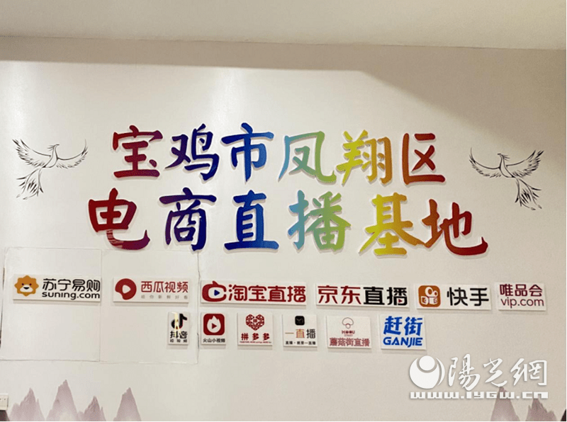 凤翔区电商直播基地直播电商赋能逐梦乡村振兴路