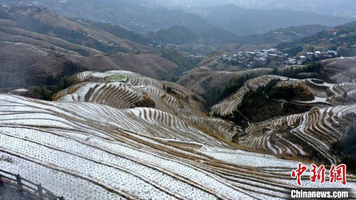 吊脚楼|广西龙胜：龙脊梯田迎来今年首场降雪