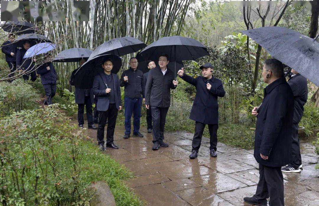 涪陵区委书记王志杰,区委副书记,区政府区长刘忠带队前往南岸区广阳岛