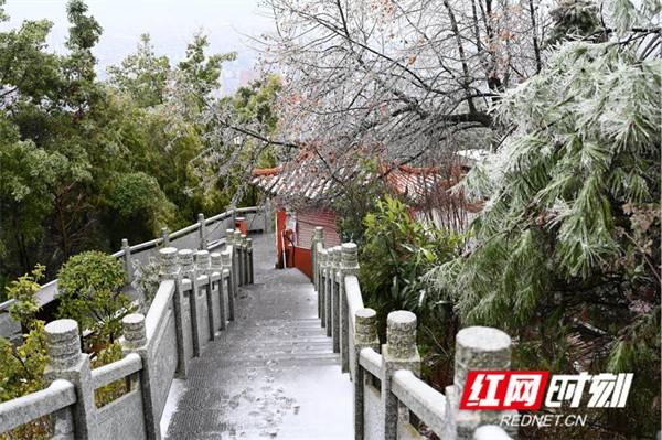 冰凌|湖南蓝山：虎年开春降瑞雪