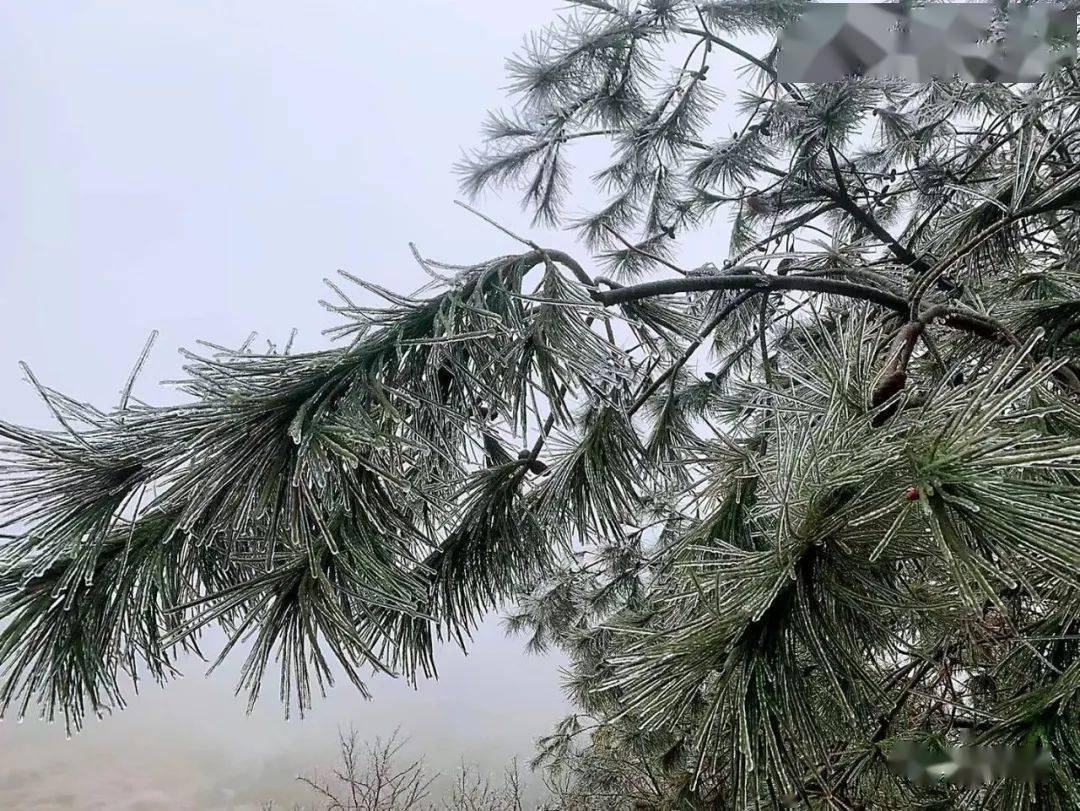 泉州九仙山下雪图片