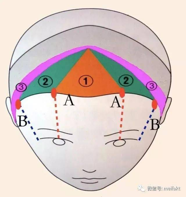 知识点:刘海区与骨梁区的作用与特点