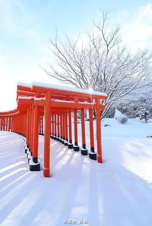 青森县的冰雪千本鸟居北海道等地迎来暴风雪