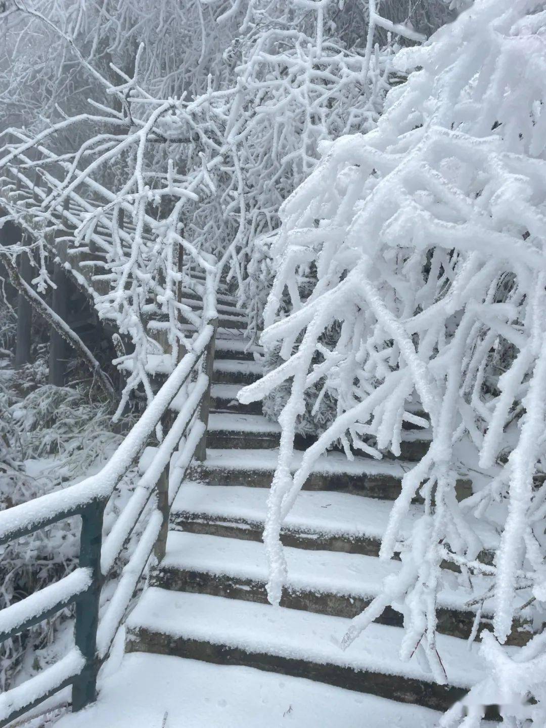 下雪啦來看吉安春日裡的絕美雪景大片