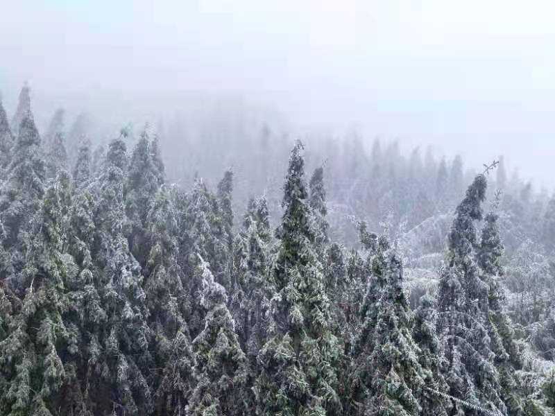 山群峰|【粤看粤美】银装素裹岭南金子山