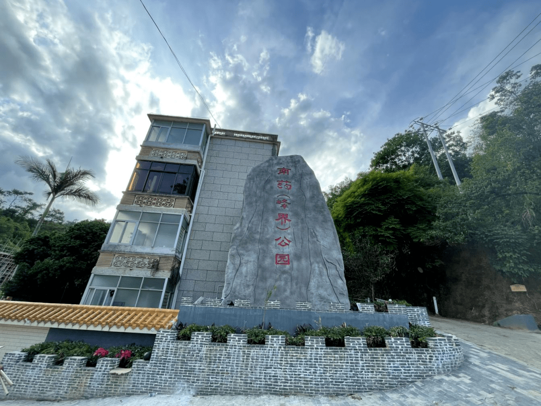 通门镇特色小肉桂种出大产业