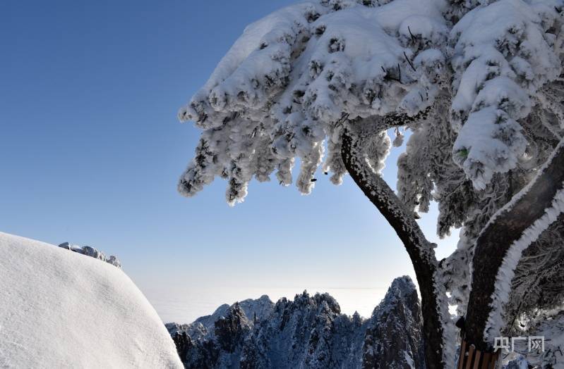 冬雪|“我想休假去黄山”，安徽黄山瑞雪连连惹馋网友