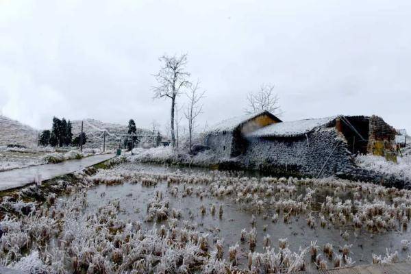 广东|万物皆可“冰墩墩”！广东多地迎来雾凇冰挂“雪景”奇观，美不胜收