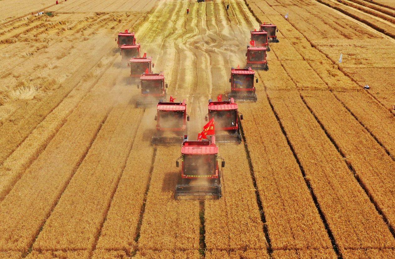 【地评线】荔枝网评:"大国粮仓"根基牢,"中国饭碗"端得稳_耕地_农业